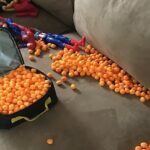 Packing Lunch for a Three Year Old