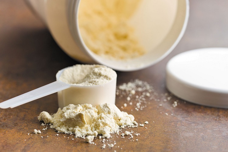 Protein Supplements