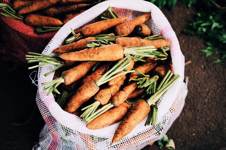 3 Tips For Growing Some Of Your Own Food Your Own Food
