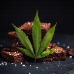 hash brownies