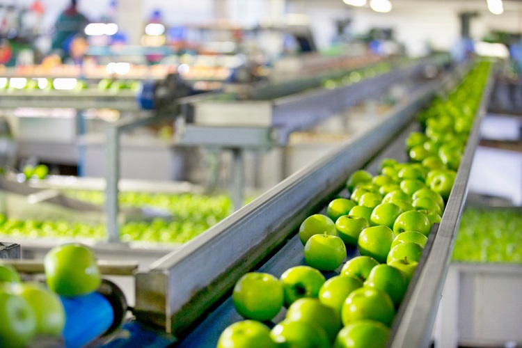 Food Industry